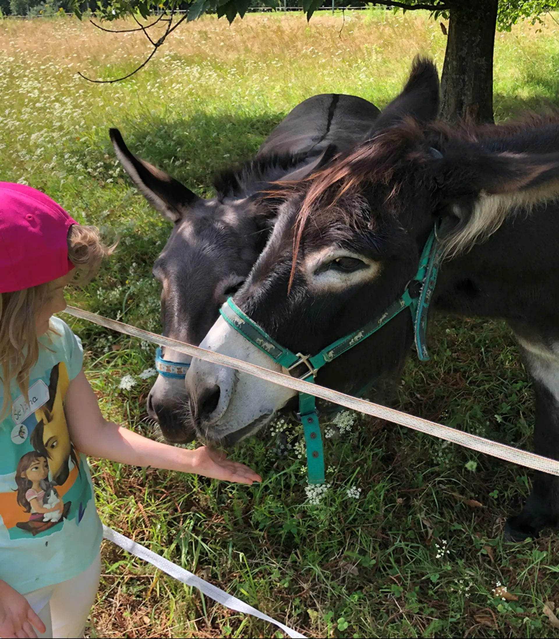Spannende Sommerferien in St. Ingbert 2025